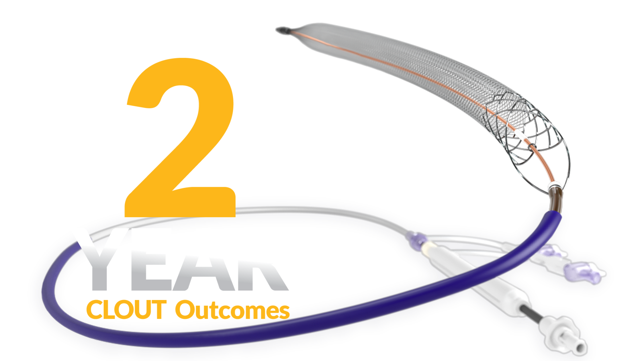 CLOUT 2 Year